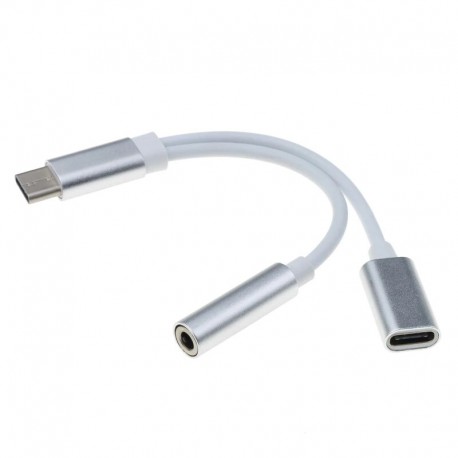 Adaptador usb tipo-C 2 in 1 (USB tipo C - Jack 3.5mm)