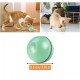 Bola Interativa para Gatos e Cães com LED 
