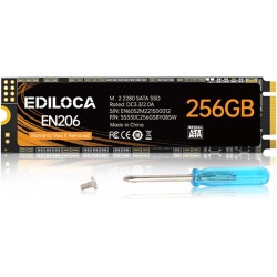 SSD M.2 EN206 de 256GB
