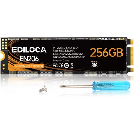 SSD M.2 EN206 de 256GB