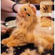 Máquina de Cortar Cabelo Silenciosa para Gatos e Cães 