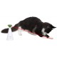 Laser Rotativo Interativo para Gatos 
