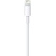  Cabo de Ligação Apple Lightning a USB - 1m
