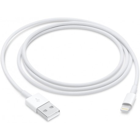  Cabo de Ligação Apple Lightning a USB - 1m
