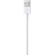  Cabo de Ligação Apple Lightning a USB - 1m