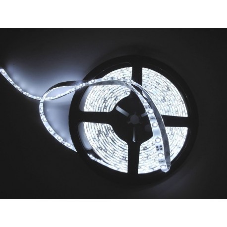 Fita de Leds Branco