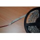 Fita de Leds Branco