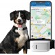 Localizador GPS para Cães e Gatos - Rastreamento em Tempo Real com Coleira Anti-Perda