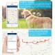 Localizador GPS para Cães e Gatos - Rastreamento em Tempo Real com Coleira Anti-Perda