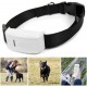 Localizador GPS para Cães e Gatos - Rastreamento em Tempo Real com Coleira Anti-Perda