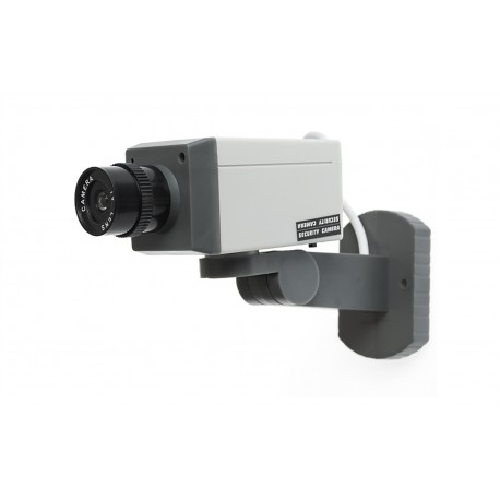 Câmara de Vigilância Falsa