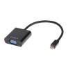 Adaptador Mini DisplayPort para VGA 