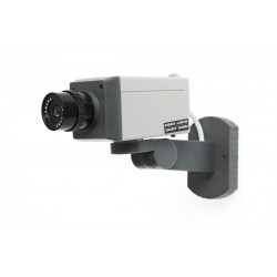 Câmara de Vigilância Falsa 