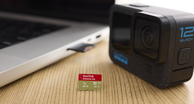 Made for Amazon MicroSD Extreme Go